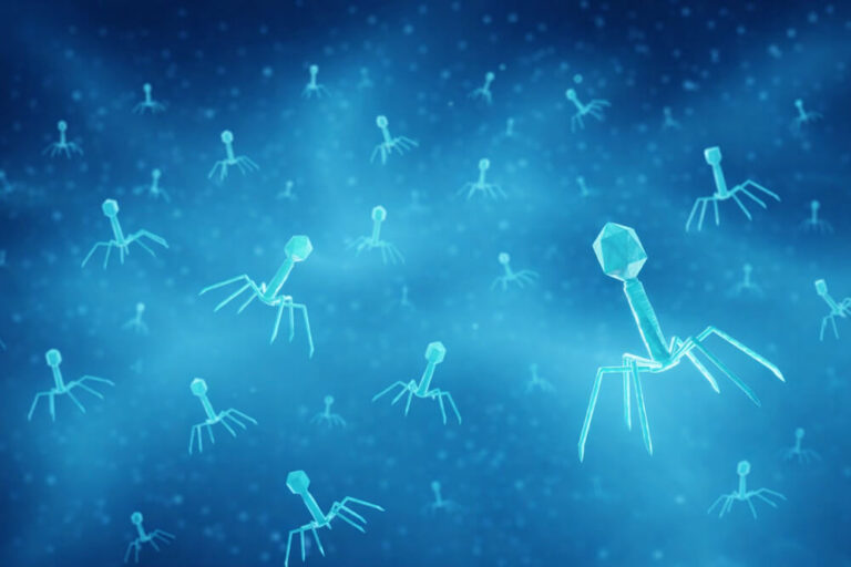 Precise Health Secures Early Funding to Advance Personalised Bacteriophage Therapies Against Antimicrobial Resistance